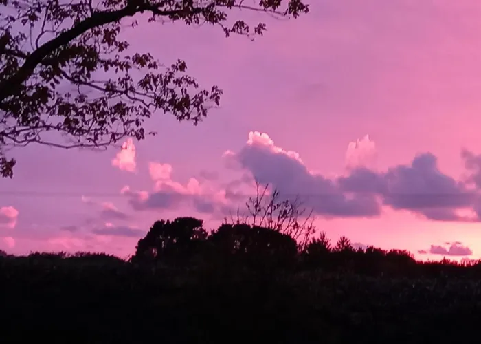 Chaumière De Charme En Brière