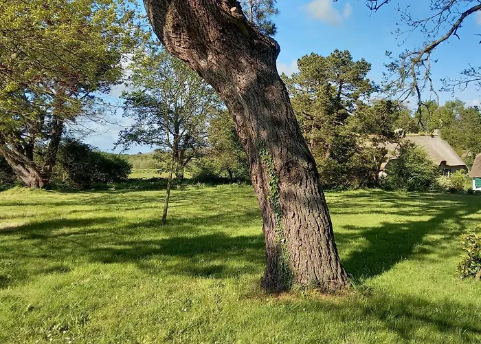 Chaumière De Charme En Brière *