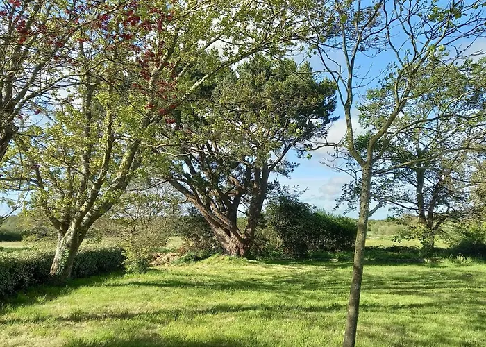 Hébergement de vacances Chaumière De Charme En Brière Saint-Lyphard